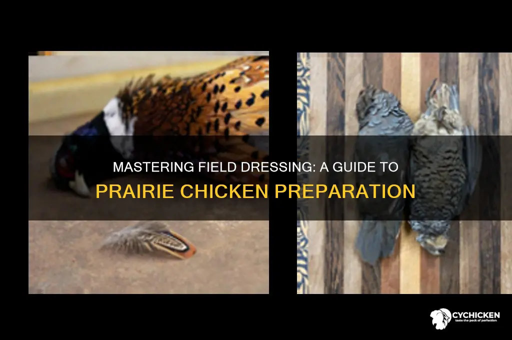 how to field dress a prairie chicken