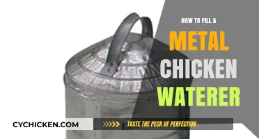 Easy Steps to Fill Your Metal Chicken Waterer Properly