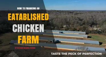 Financing Strategies for Established Chicken Farms: A Comprehensive Guide