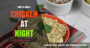 Finding Your Chicken After Dark: Tips for Nighttime Searches
