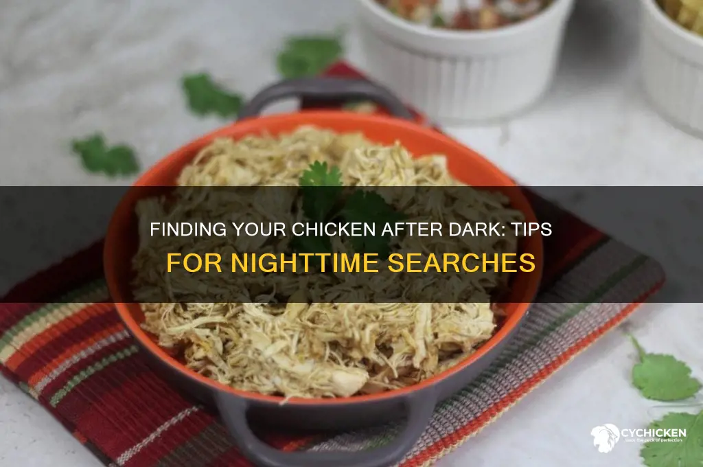 how to find a chicken at night