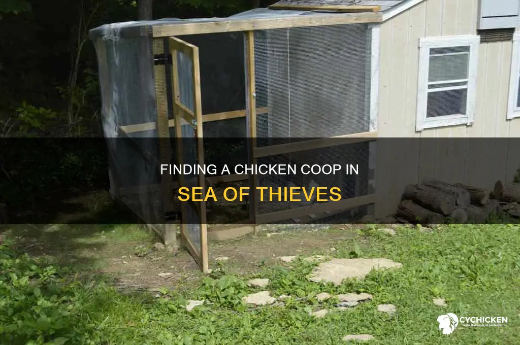 how to find a chicken cage in sea of thieves