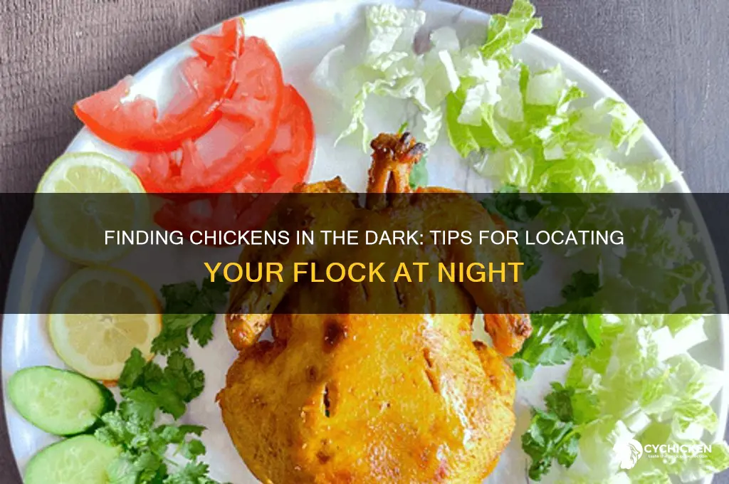 how to find a chicken in the dark