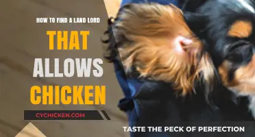 Finding Chicken-Friendly Rentals: Tips for Coop Seekers