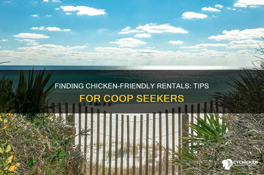 how to find a land lord that allows chicken