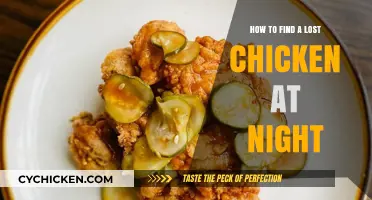 Finding Your Lost Chicken After Dark: Tips and Tricks for Success