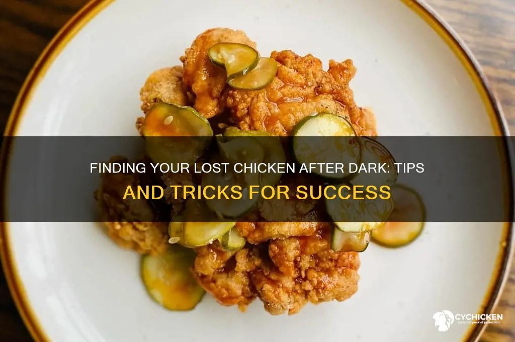 how to find a lost chicken at night