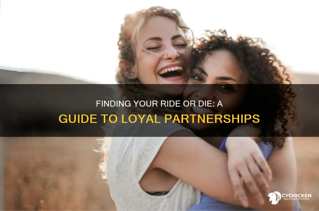 how to find a ride or die chick