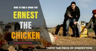 Finding Ernest a Spade: A Chicken's Tale