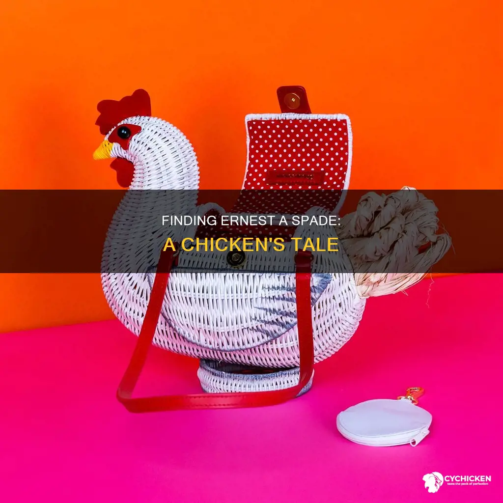 how to find a spade for ernest the chicken