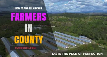 Locate County Chicken Farmers: A Comprehensive Guide to Finding Them