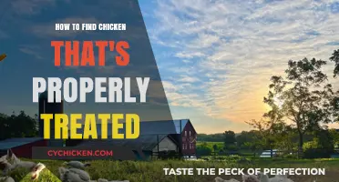 Ethical Chicken Sourcing: A Guide to Finding Humanely Raised Poultry