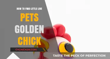 Discovering the Rare Little Live Pets Golden Chick: A Collector's Guide