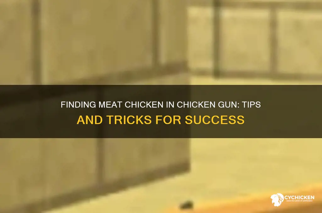how to find meat chicken in chicken gun
