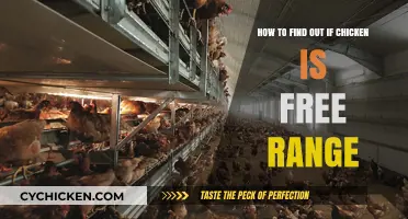 Finding Free-Range Chicken: What to Look For