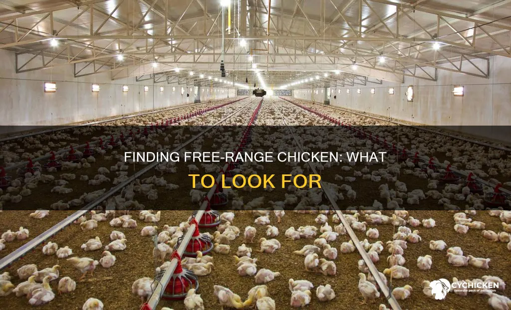 how to find out if chicken is free range