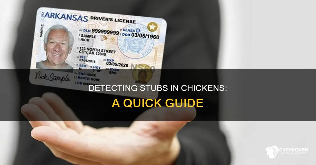 how to find out if your chicken has stubs