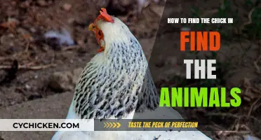Spotting the Elusive Chick in a Crowd