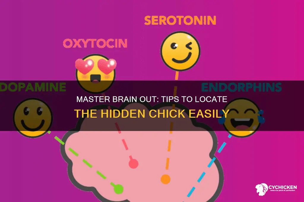 how to find the chick on brain out