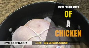 Discovering the Oyster: A Guide to Finding Chicken's Hidden Gem