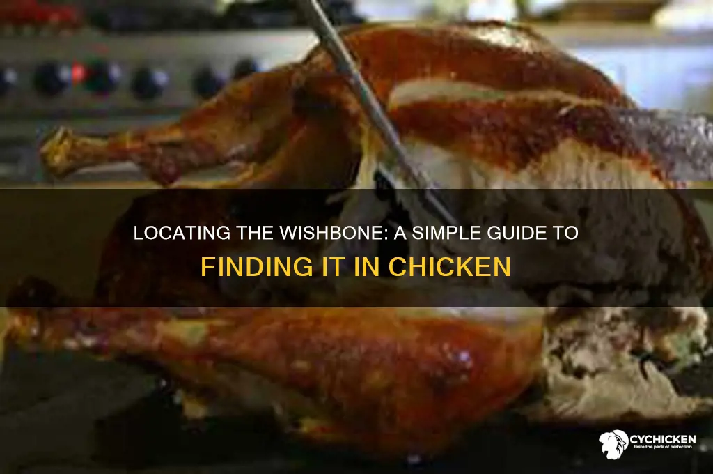 how to find the wishbone in a chicken