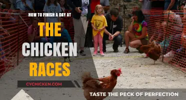 The Chicken Races: A Day Well Spent