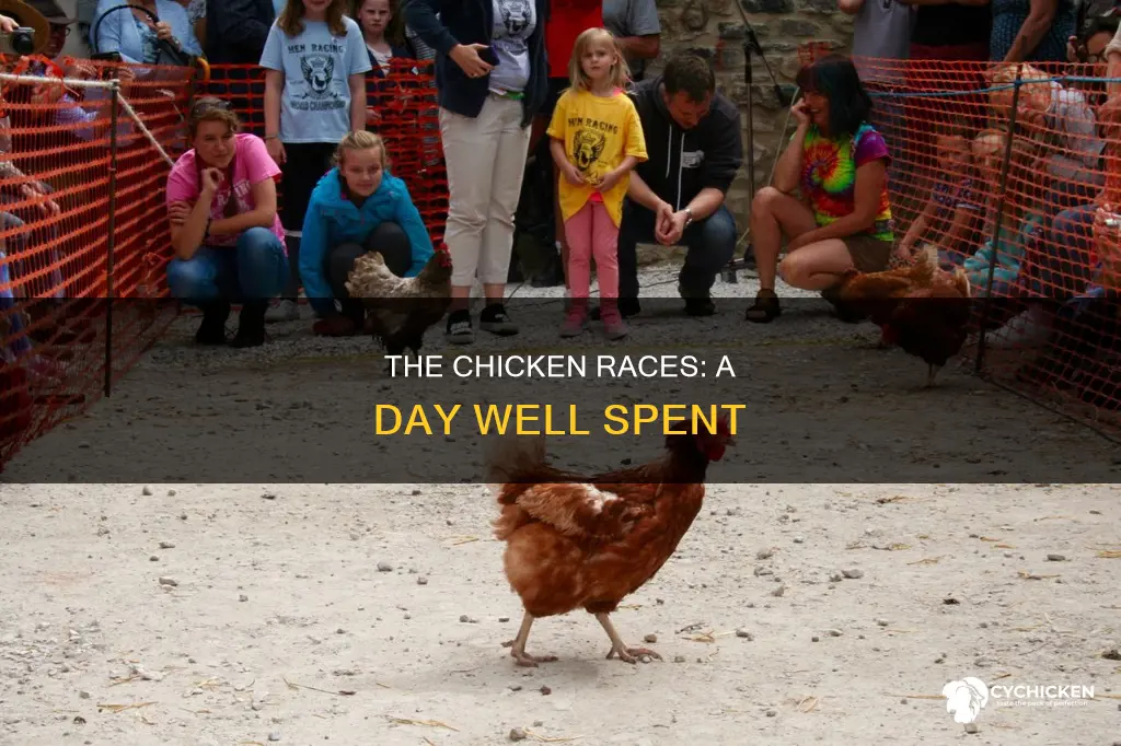 how to finish a day at the chicken races