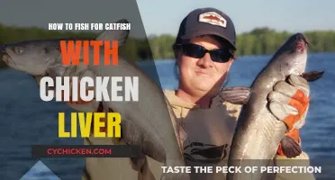 Master Catfishing: Effective Chicken Liver Techniques for Catching Catfish