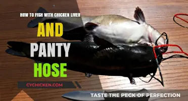 Chicken Liver and Panty Hose: A Fishing Hack