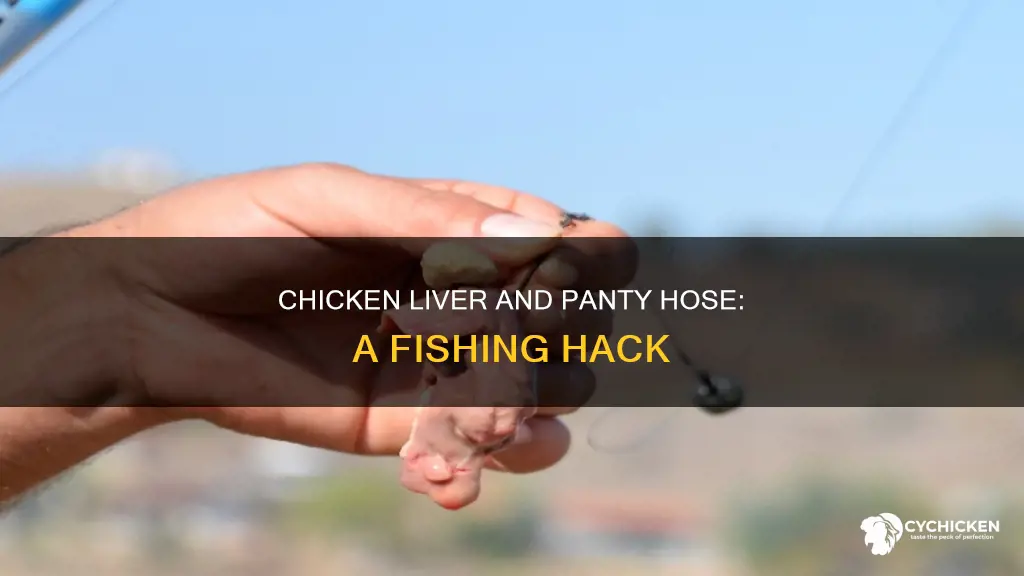 how to fish with chicken liver and panty hose