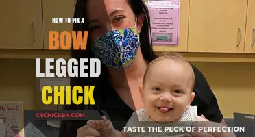 Correcting Bow-Legged Chicks: Simple Steps for Healthy Poultry Development