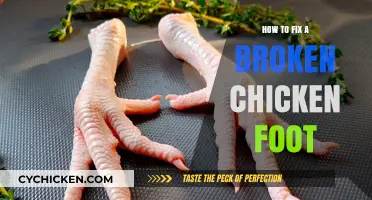 Healing Your Hen: A Guide to Repairing a Broken Chicken Foot