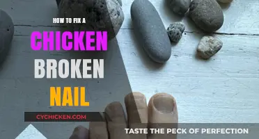 Quick and Gentle Solutions for Repairing Your Chicken's Broken Nail