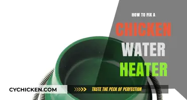 Quick Fixes for Your Chicken Coop's Water Heater Issues