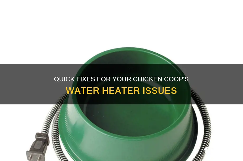 how to fix a chicken water heater
