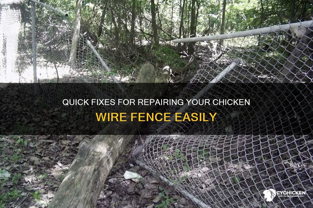 how to fix a chicken wire fence