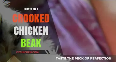 Correcting Crooked Chicken Beaks: A Step-by-Step Guide for Poultry Care
