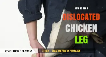 Quick Guide to Safely Fixing a Dislocated Chicken Leg