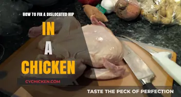 Fixing a Chicken's Dislocated Hip: A Step-by-Step Guide
