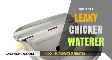 Quick Fixes for a Leaky Chicken Waterer: DIY Solutions