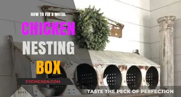 Repairing Metal Chicken Nesting Boxes: A Step-by-Step DIY Guide
