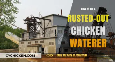 Revive Your Chicken Waterer: Simple Steps to Repair Rust Damage