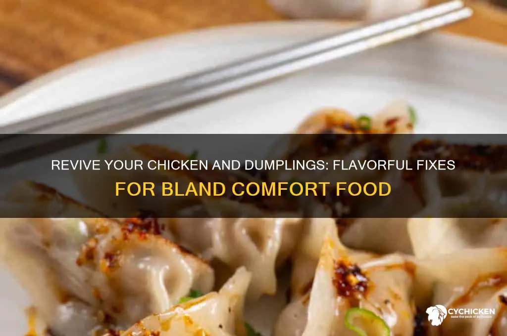 how to fix bland chicken and dumplings