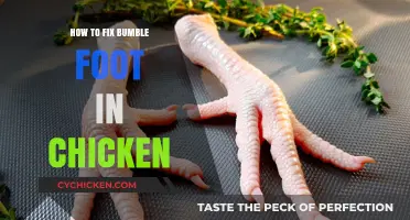 Effective Treatment and Prevention Tips for Bumble Foot in Chickens