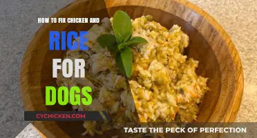 Easy Chicken and Rice Recipe for Dogs: A Healthy Fix