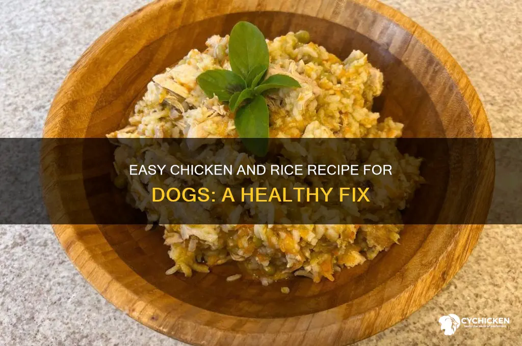 how to fix chicken and rice for dogs