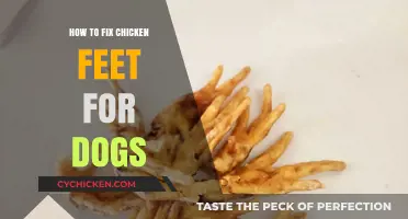 Fixing Chicken Feet for Dogs: A Step-by-Step Guide for Pet Owners