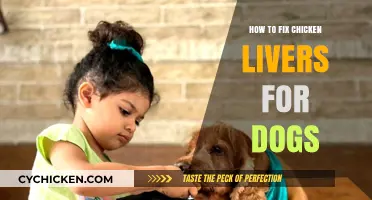 Nutritious Chicken Liver Treats: A Simple Guide for Your Dog