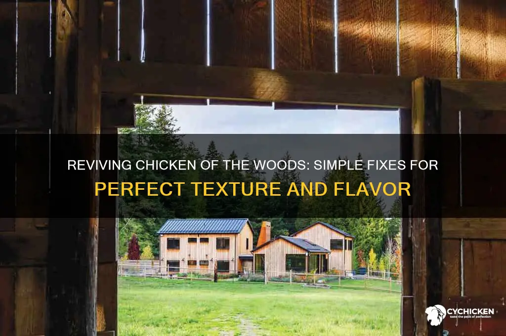 how to fix chicken of the woods