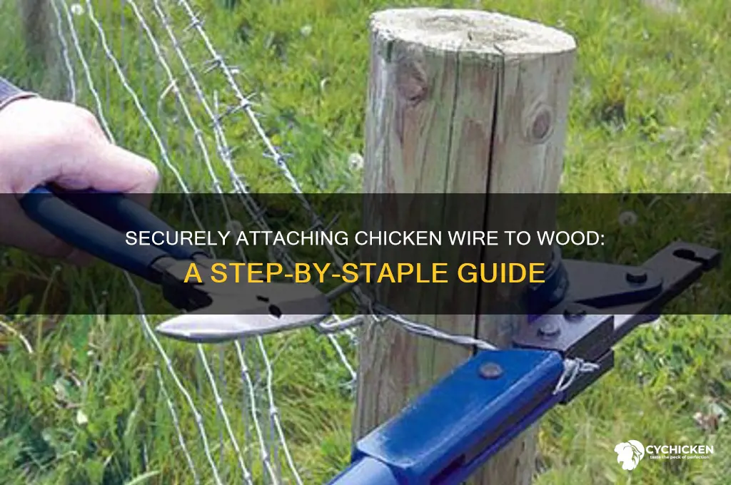 how to fix chicken wire to wood